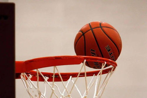 大沥高级中学与石门实验学校共同承办篮球盛事