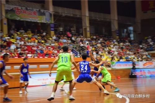 双合篮球队参加鹤山篮球比赛勇夺第三名