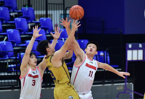 广东东莞大益力克南京同曦宙光,CBA第二阶段再添关键胜利