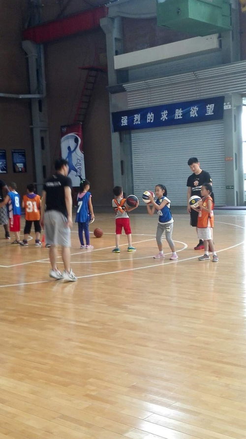 篮球与蓝球 一场名字与意义上的奇妙误会
